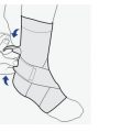 ligament-ankle-support-5