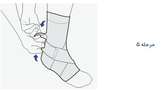 ligament-ankle-support-5