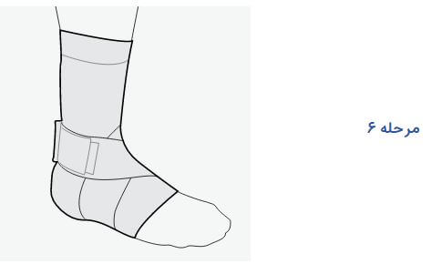 ligament-ankle-support-6