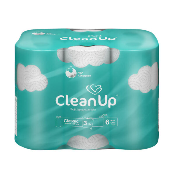 CleanUp-6Rolls-Paper-Towel